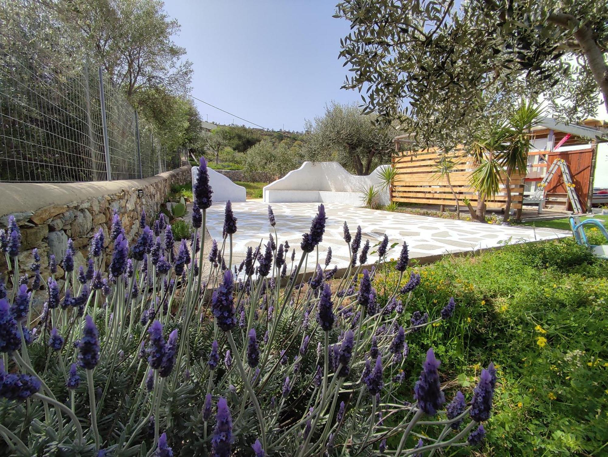 Il Canto Delle Cicale Agia Marina  Exterior foto